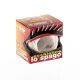 SPAGO CANDIDO 2/6  CUCINA