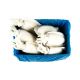 SEPPIA SENEGAL PUL.400/600  PN 6 KG C