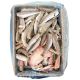 FRITTURA DI PARANZA EVISC.4.5KG PN C.