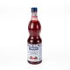 SCIROPPO MIXYBAR FABBRI FRAGOLA LT.1 PET