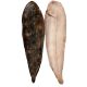 SOGLIOLA OCEANICA 200/250 IQF 5 KG PN C.