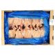 POLLO BUSTO KG. 1.100 X 10 PZ C.