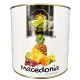 MACEDONIA FRUTTA KG.2,650  LATTA
