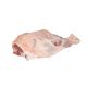 COSCIA AGNELLO FR