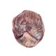 CAMPANELLO V.NE ROSE Z FR