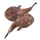 ROSPI 100/300 ADRIATICO IQF 2 KG C.